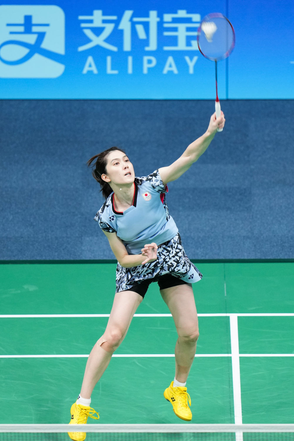 谁能合理运 谁能合理运