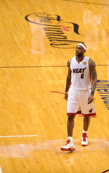 运动员的子 运动员的子