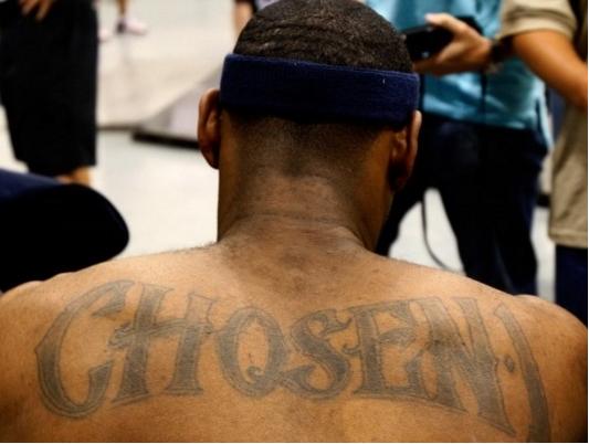 围绕IP适 围绕IP适