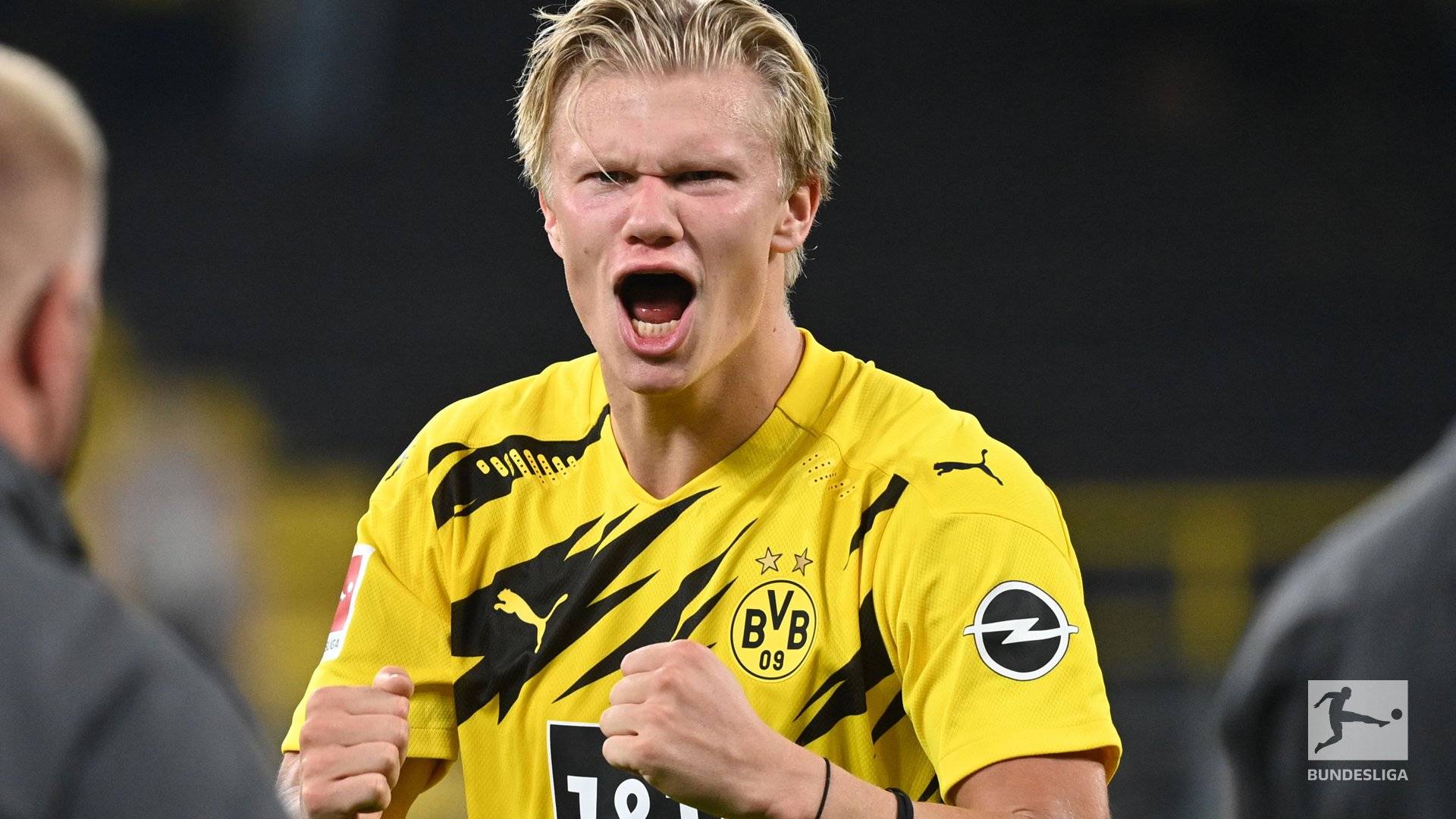 形选择改写 形选择改写